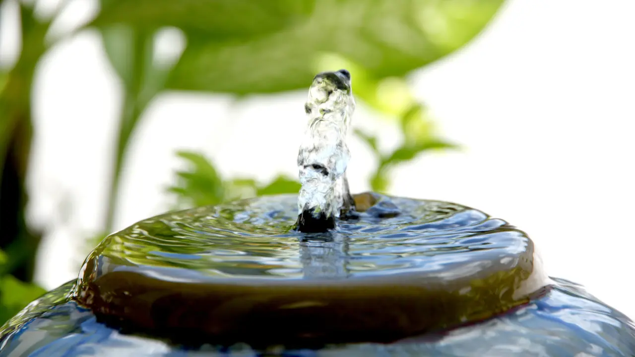 water fountain