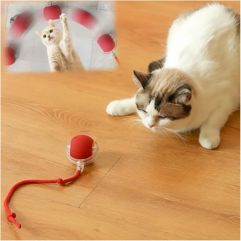 Cat Toys for Indoor Cats