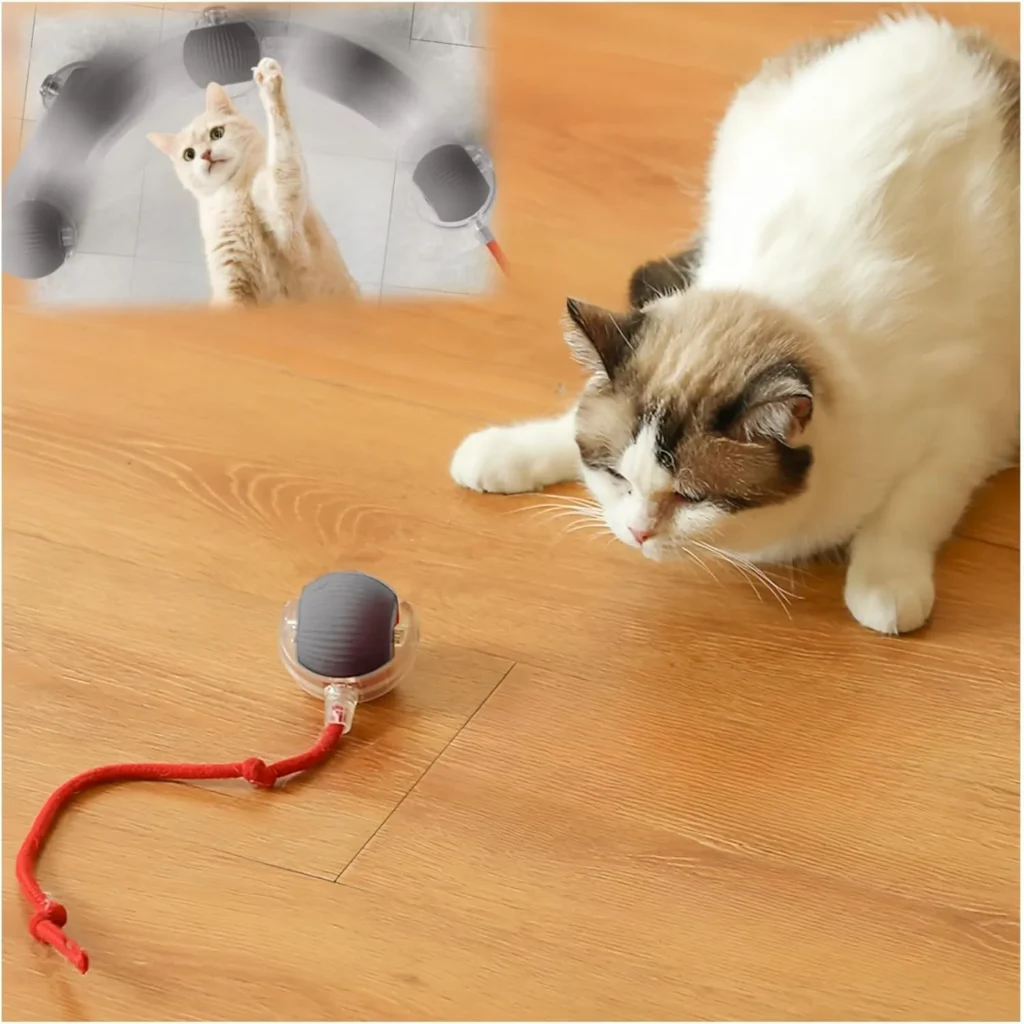 Cat Toys for Indoor Cats