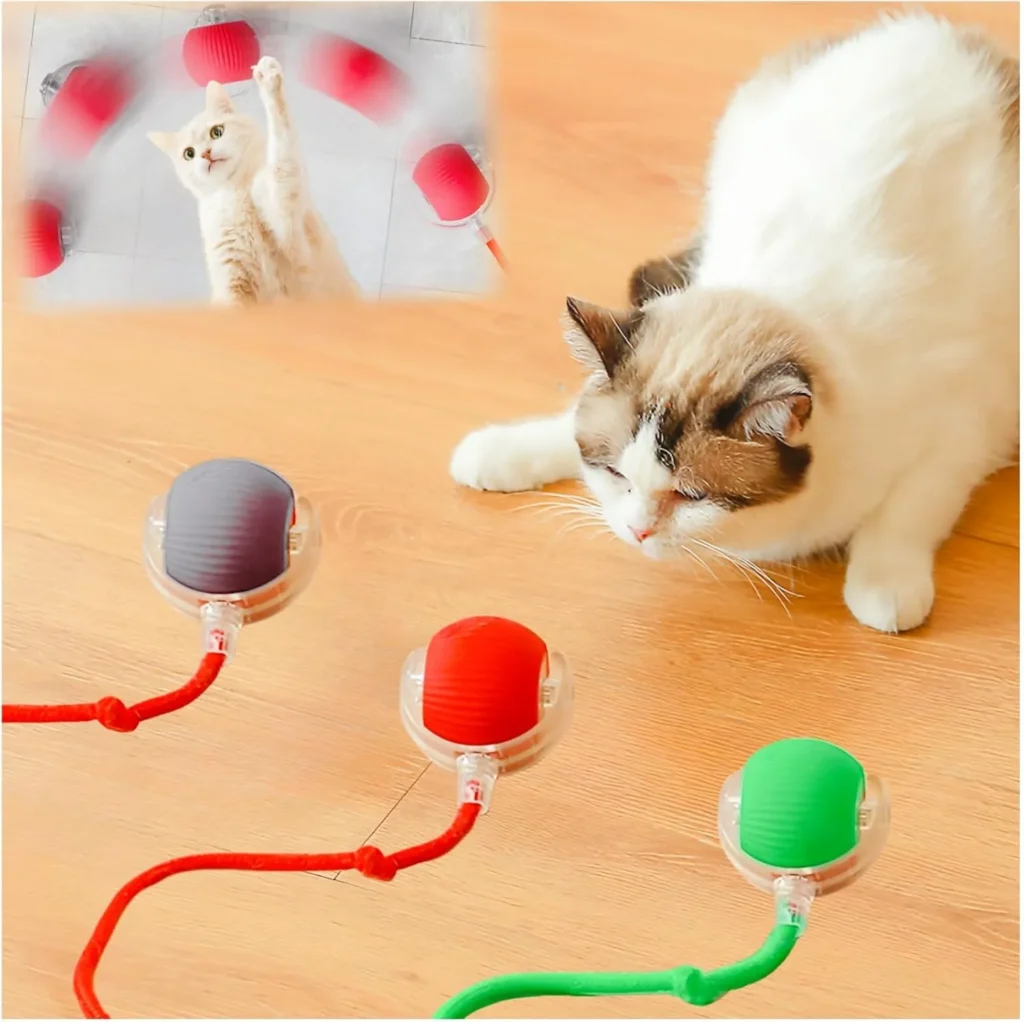 Cat Toys for Indoor Cats