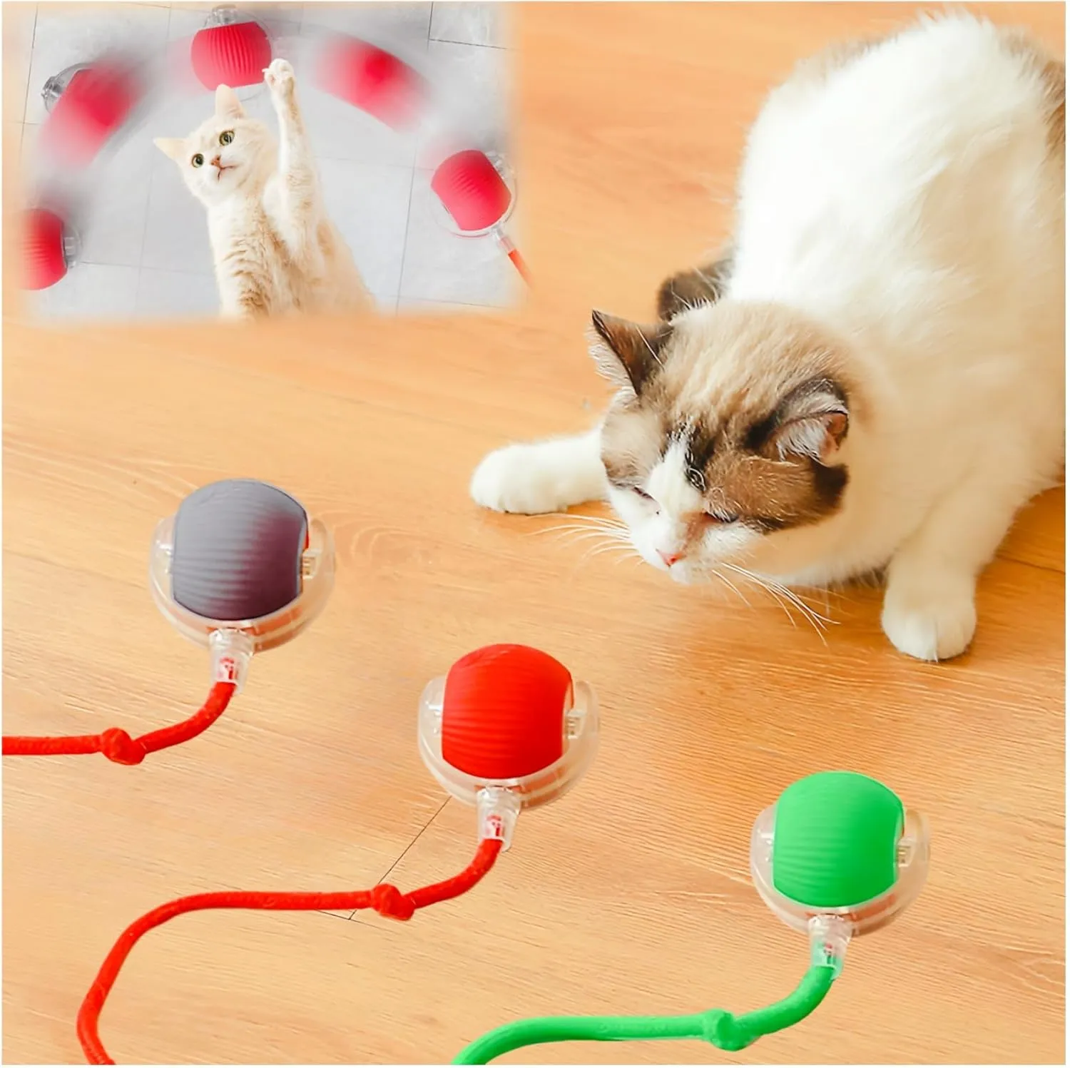 🐾 Discover the Best Cat Toys for Indoor Cats in 2025: Keep Your Furry Friend Active and Happy! 🎉