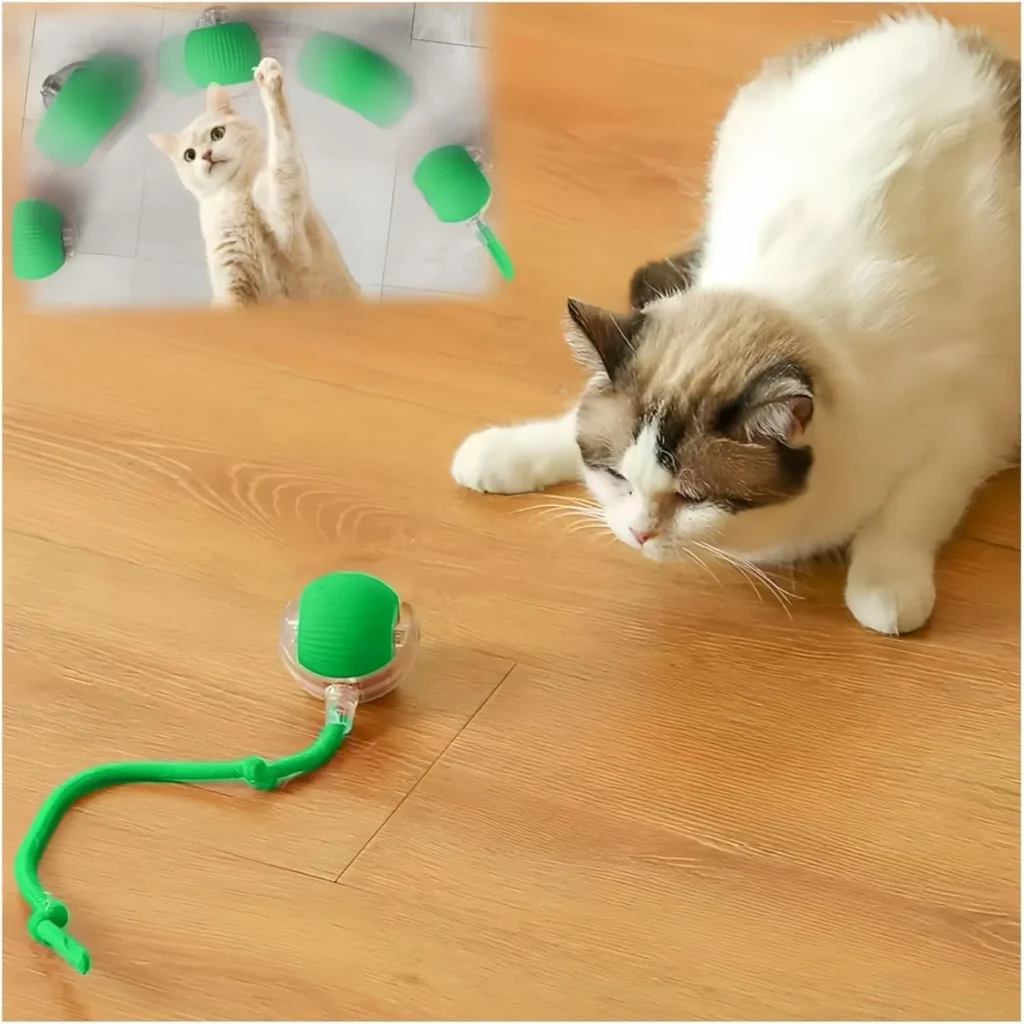 Cat Toys for Indoor Cats