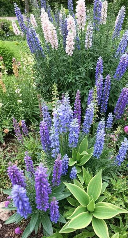 Sustainable Native Plantings
