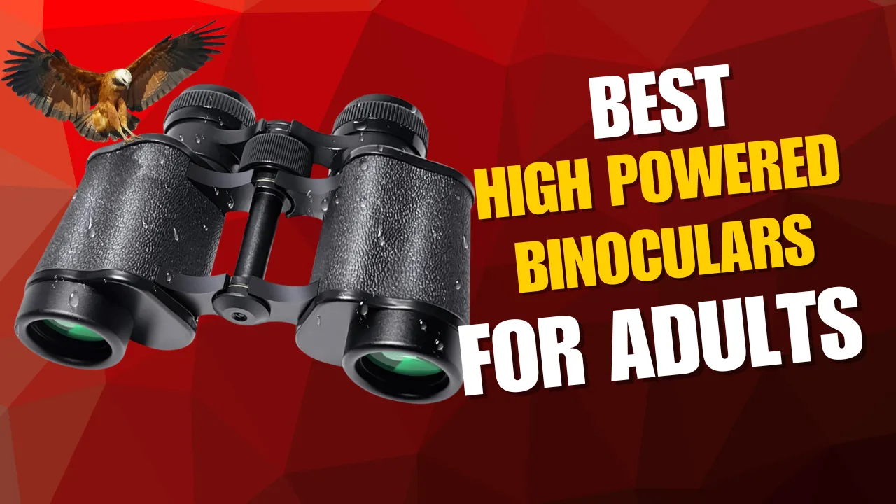 10x25 High Powered Binoculars for Adults