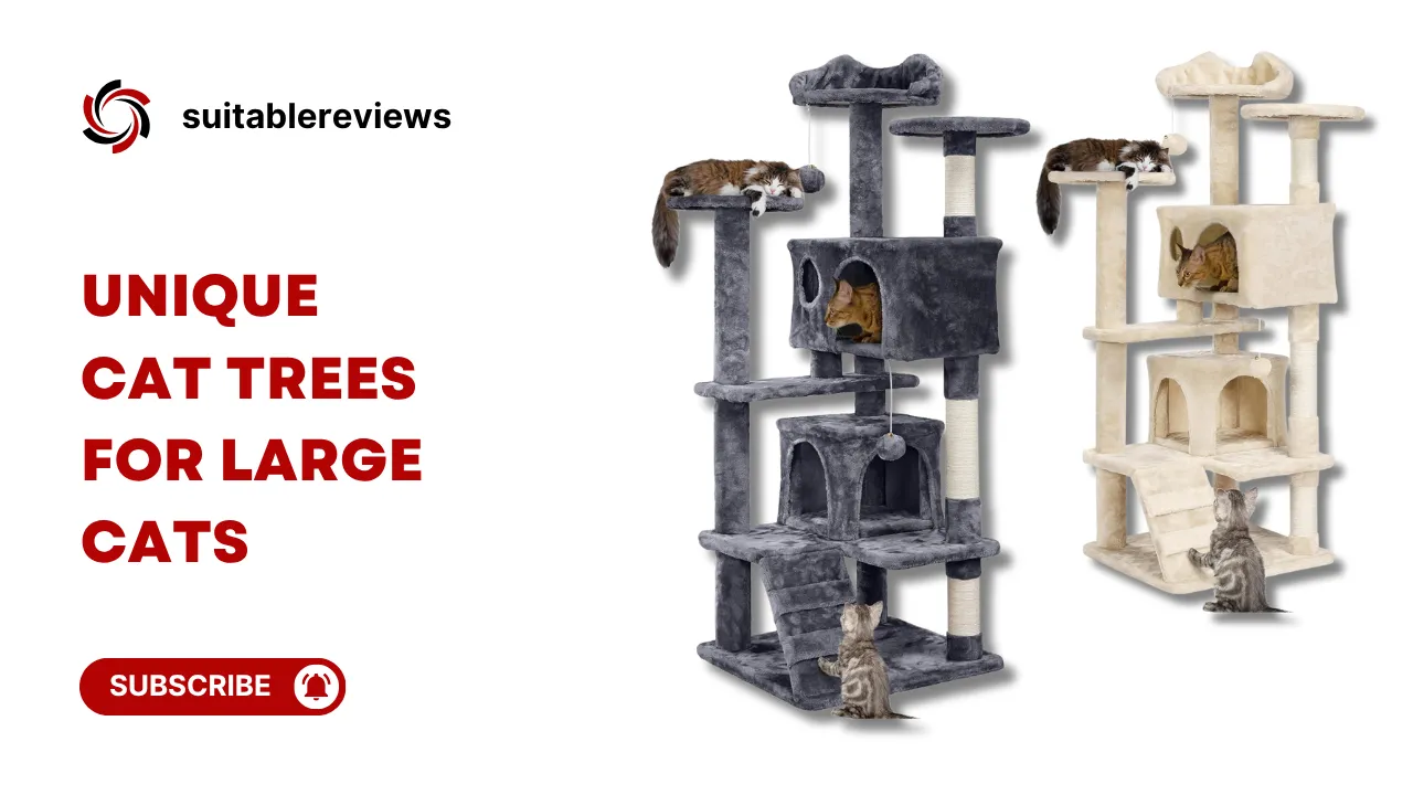 unique cat trees for large cats