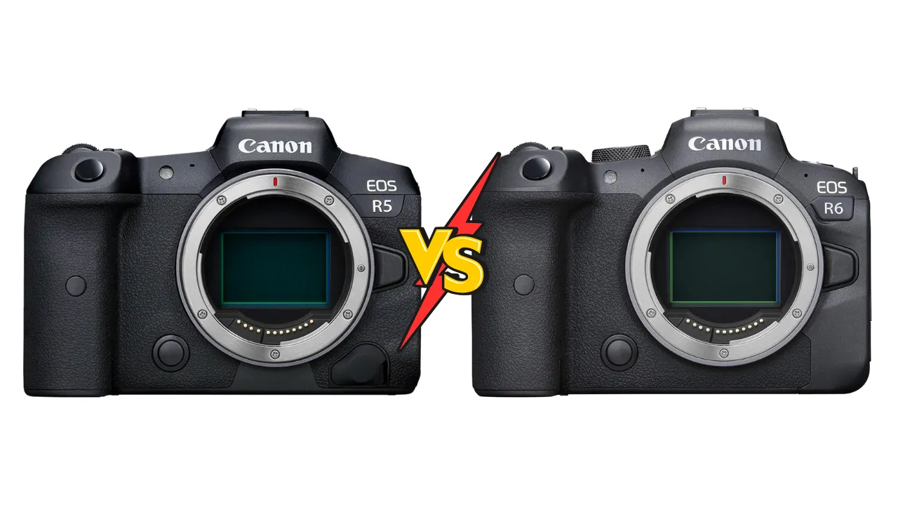 canon r5 vs r6