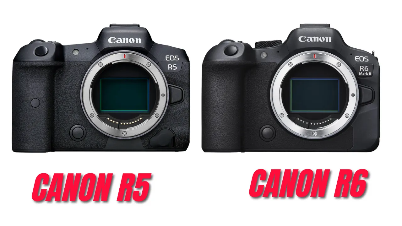 canon r5 vs r6