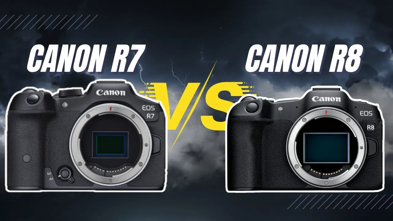 Canon R7 vs R8: Which Mirrorless Camera Is Right for You?