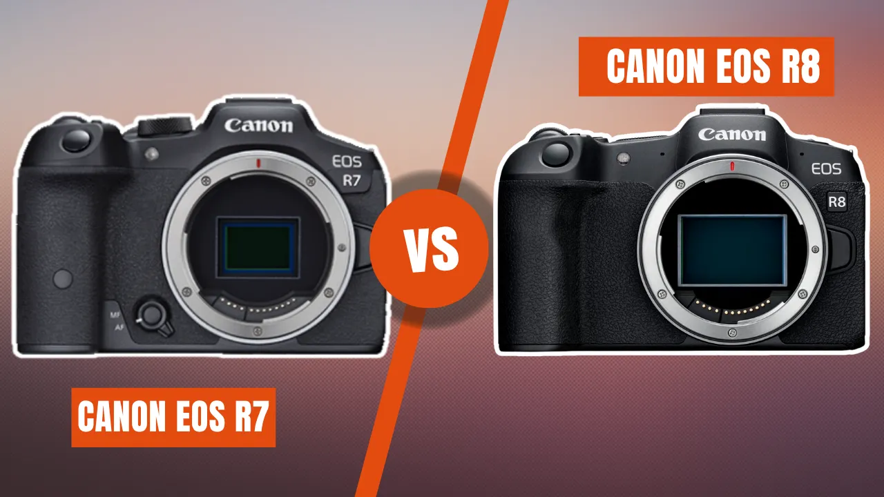 canon r7 vs r8